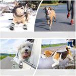 Anti-slip Reflective Boots For Medium And Large Dogs