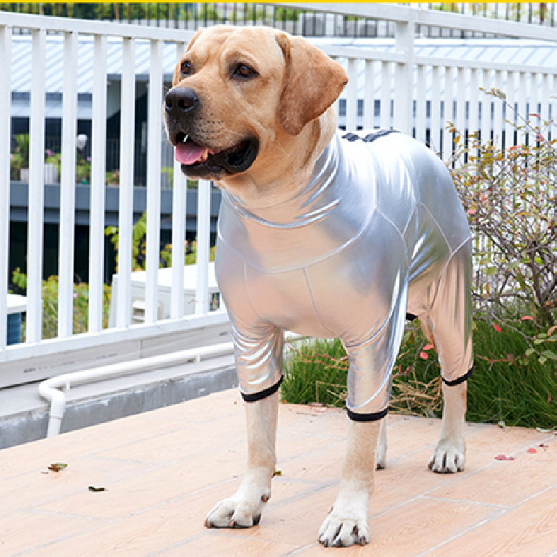 Unique Silver Color Raincoat For Dogs