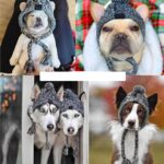 Dog Winter Knitted Hat With Ear Holes And Long Tassel