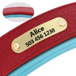 Dog Leather Collar – Many Colors To Choose From