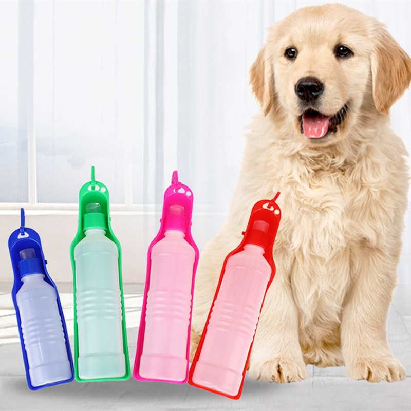 Convenient Compact Water Bottle For Dogs When Going Out