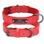 Durable Leather Collar - Dog Accessories