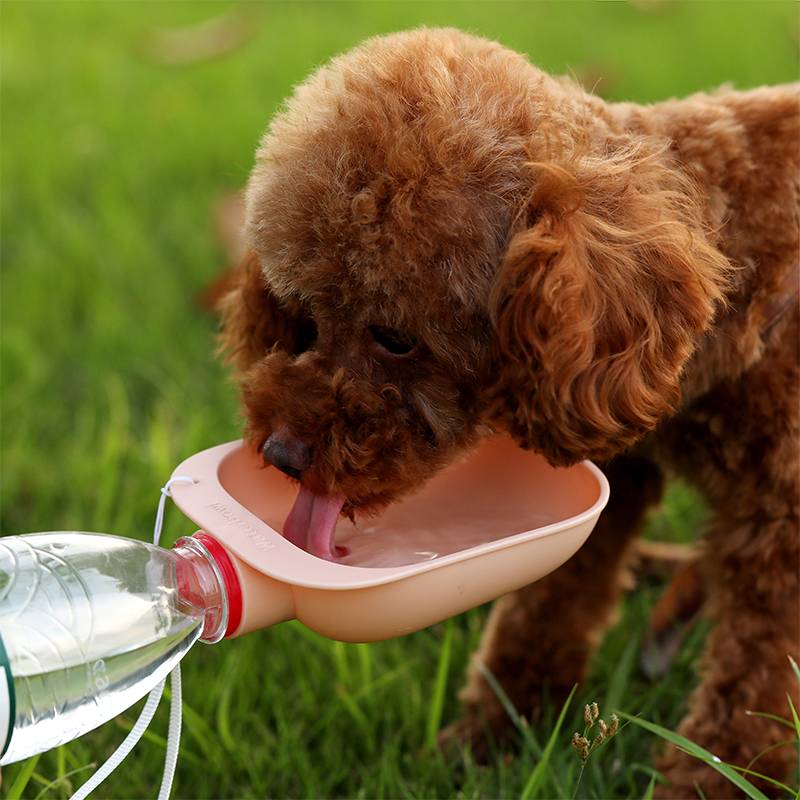 Portable Drinking Bowl - Can Be Attached To A Water Bottle For Dog