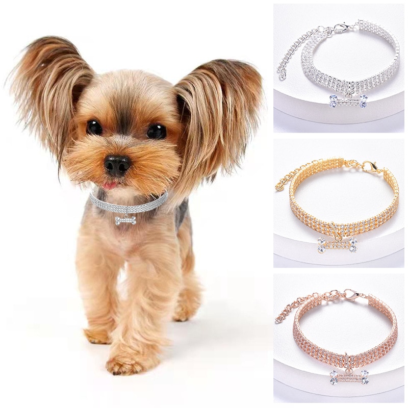Sparkling Bone-shaped Stone Collar – For Cute Dog