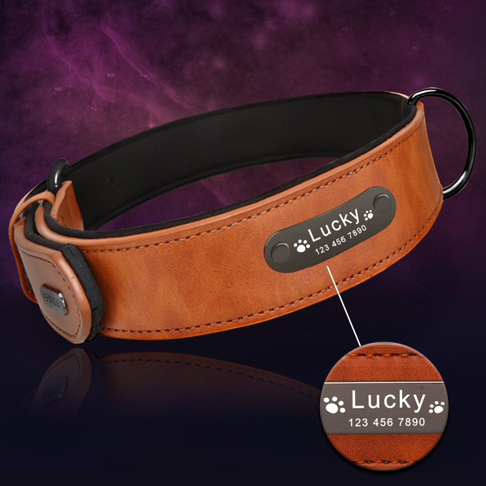 Leather Collar – With A Name Tag For The Dog