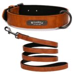 Leather Collar - With A Name Tag For The Dog