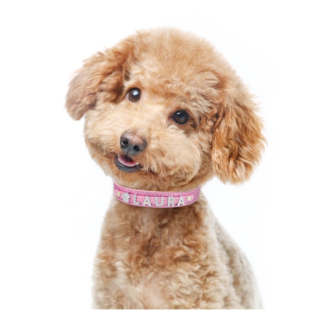 Sparkling Fashion Collar - Accessories For Girly Dog