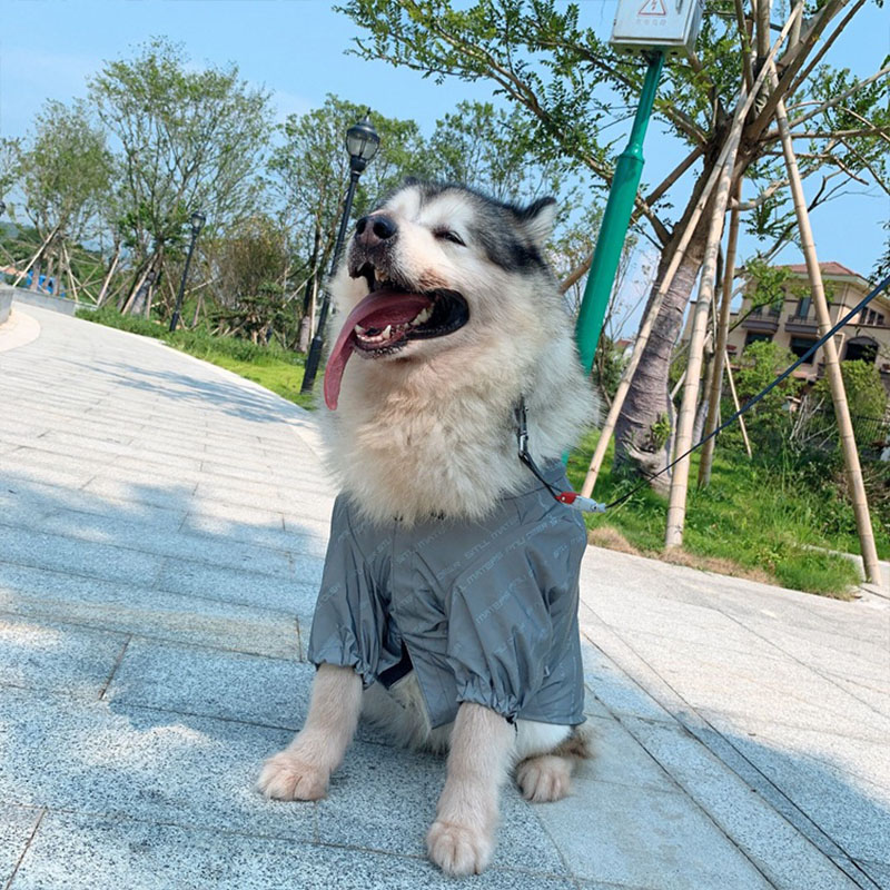 Reflective Windproof Jacket For Dogs And Owners