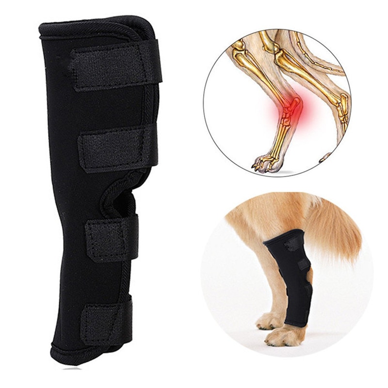 Leg Brace - Joint Protectors For Dogs