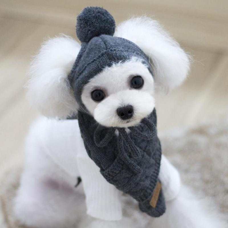 Set Of Warm Woolen Hat And Scarf For Dog In Winter
