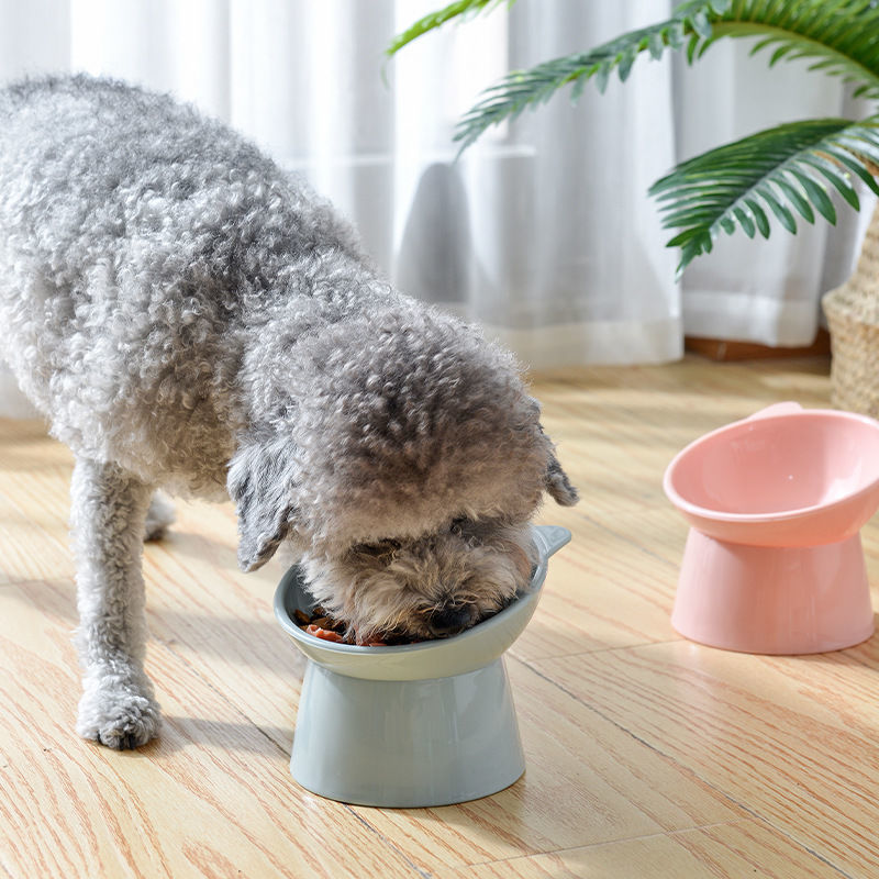 Multi-function Food Bowl With A Unique Design For Dog