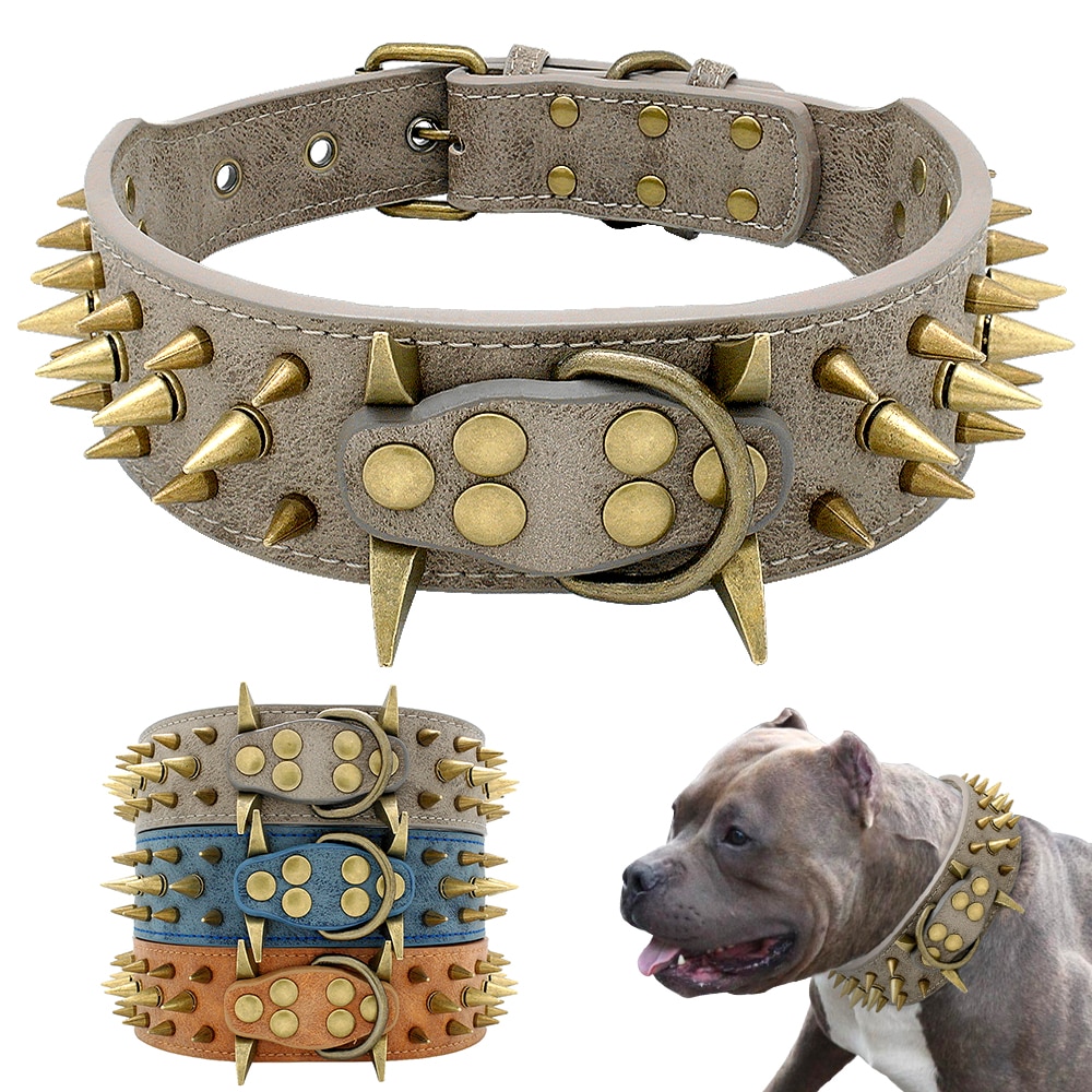 Leather Collar With Studs – Accessories For Dogs