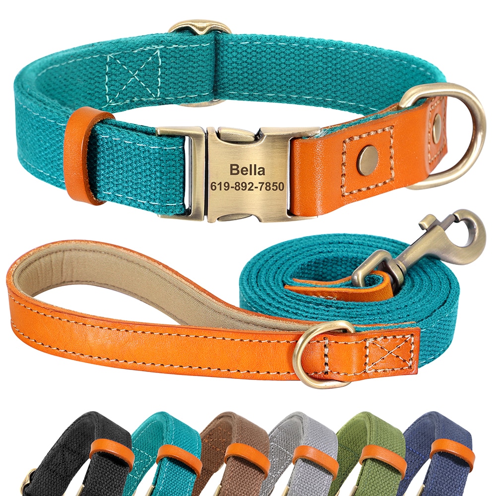 Dog Personality Collar – Bright Colors