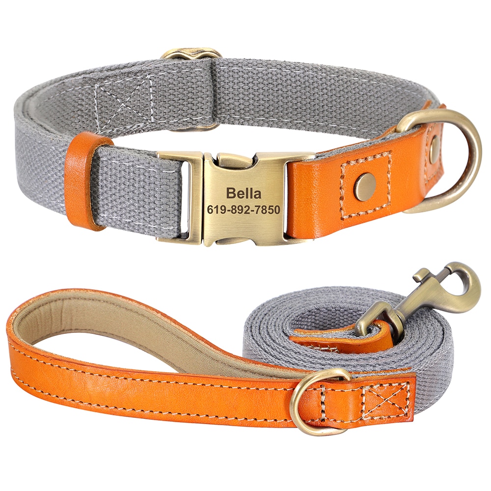 Dog Personality Collar - Bright Colors