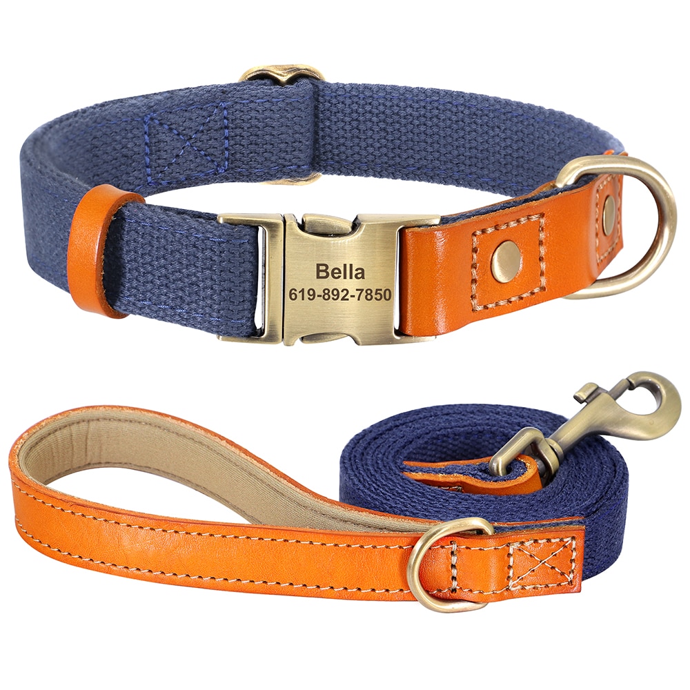 Dog Personality Collar - Bright Colors