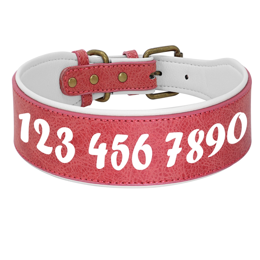 Leather Collar With Name Printed For Dog