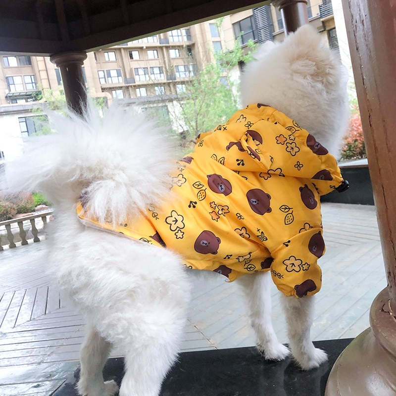 Exciting Cartoon Raincoat - What To Wear For dogs In The Rainy Season?