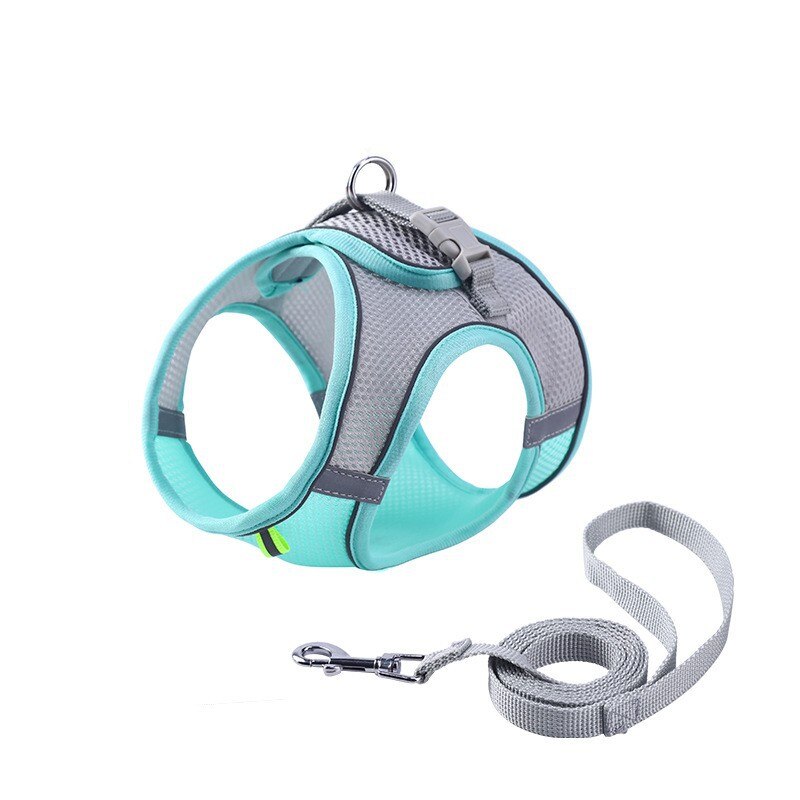 Harness With Leash For Dogs - Reflective Design