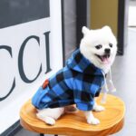 Stylish Hoodie – With Convenient Pockets For Dogs