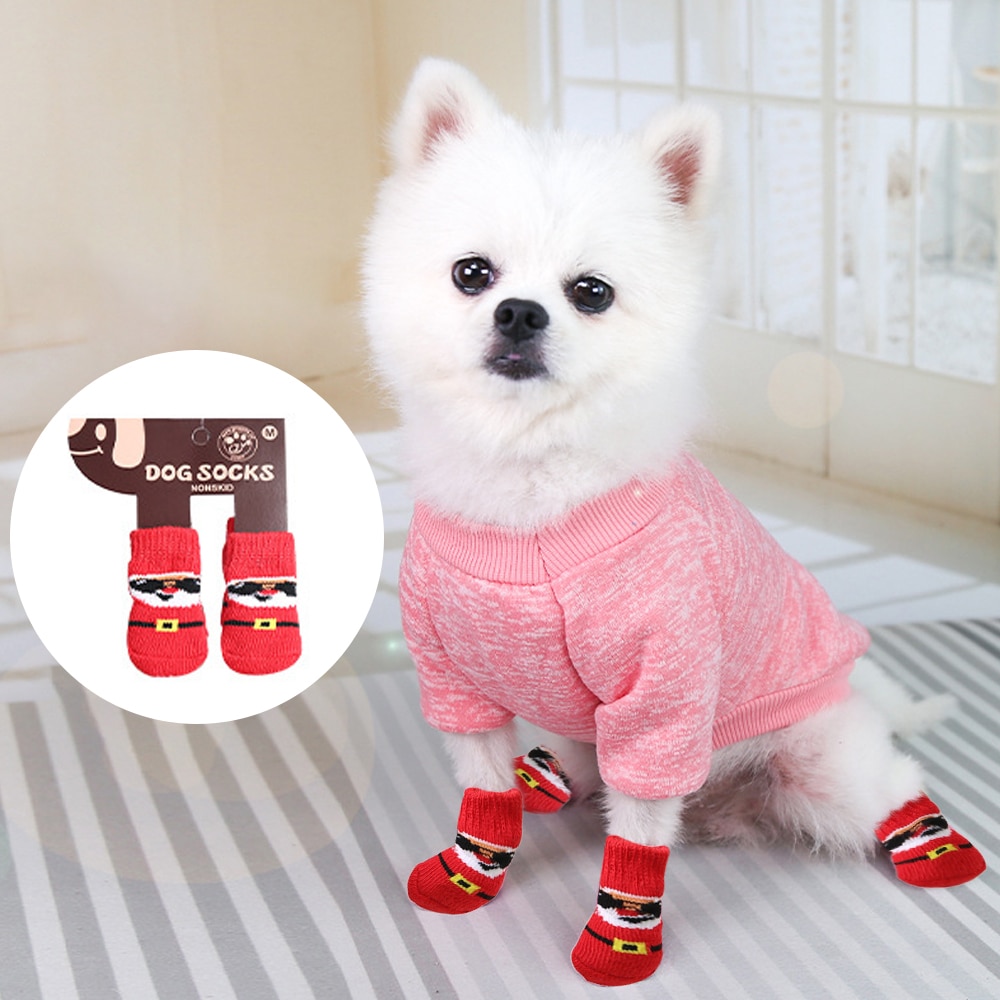 Funny Socks To Keep Your Dog’s Feet Warm
