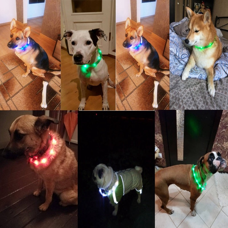 Unique Accessories - Dog Glowing Collar
