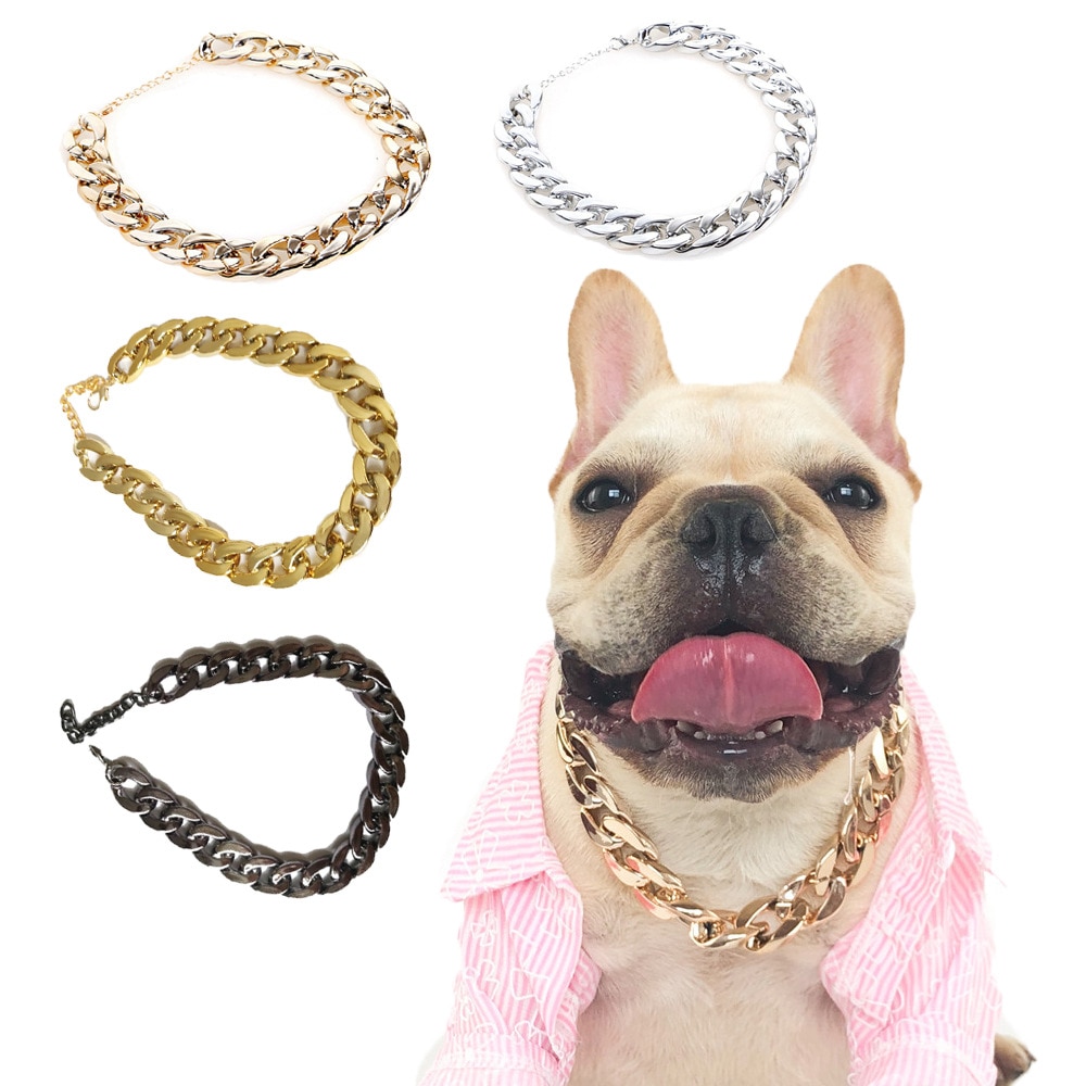 Dog Accessories – Large Leash Style Collar