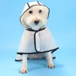 Transparent Raincoat - Cloak Style For Dog