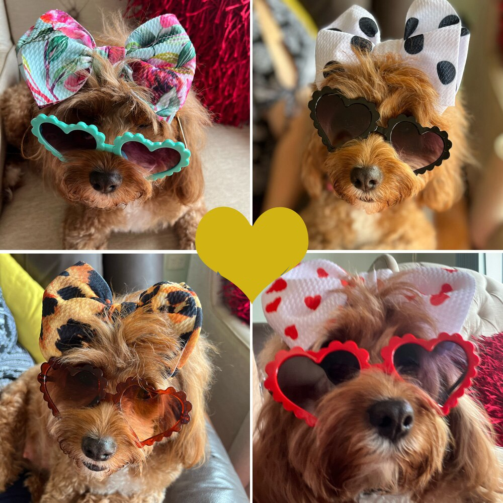 Sunglasses And Headbands For Stylish Dogs