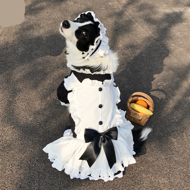 Cute and Funny Maid Outfit For Dogs