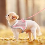 Dog Harness And Leash Set - With A Cute Bow