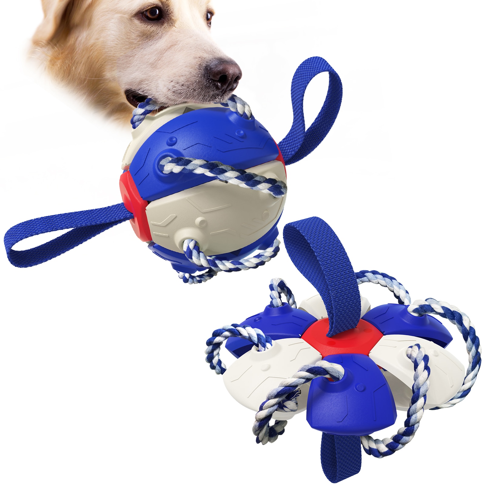 Training Toys For Dogs - Increase Interaction And Mobility