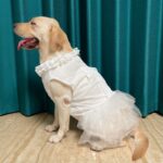 Fluffy Princess Bow Dress For Dogs