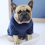 Warm Hoodie - Personality And Style For Dogs