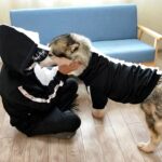 Hoodie For Dog And Owner - Couple Hoodie Set