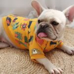Patterned Cartoon Sweater - Clothes For Owners And Dogs