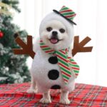 Snowman Costume - Cosplay Clothes For Dogs