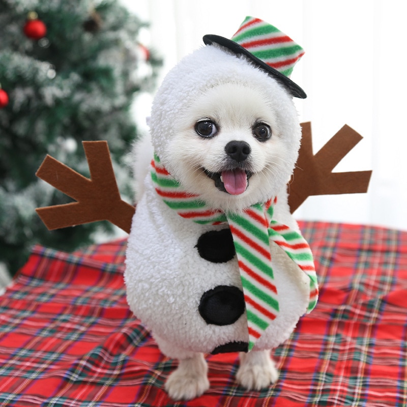 Snowman Costume – Cosplay Clothes For Dogs