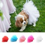 Elegant And Noble Princess Skirt For Dogs