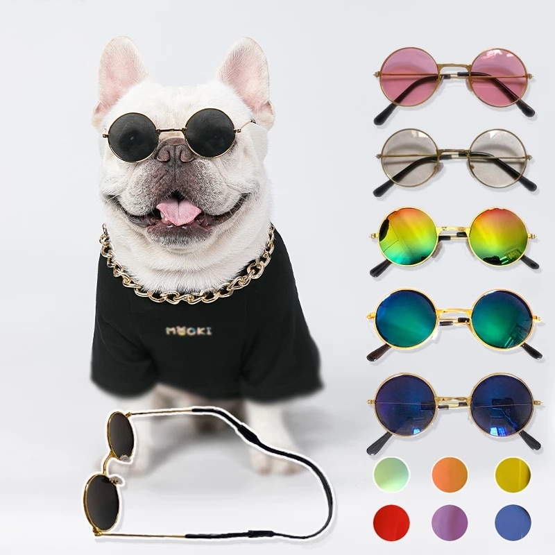 Classic Sunglass – Decorative Accessory for Dog