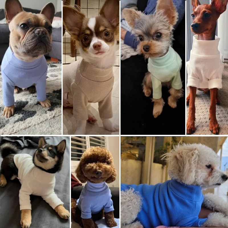 Basic T-shirts To Keep Dogs Warm