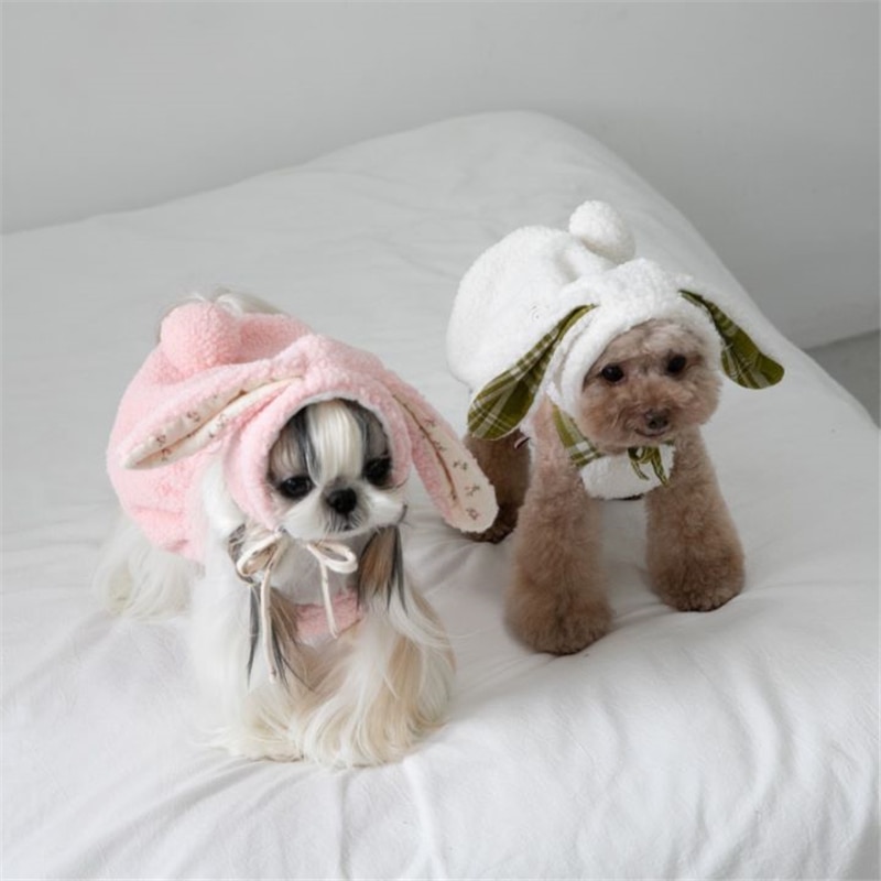 Winter Clothes For Dogs - Cute Bunny Style