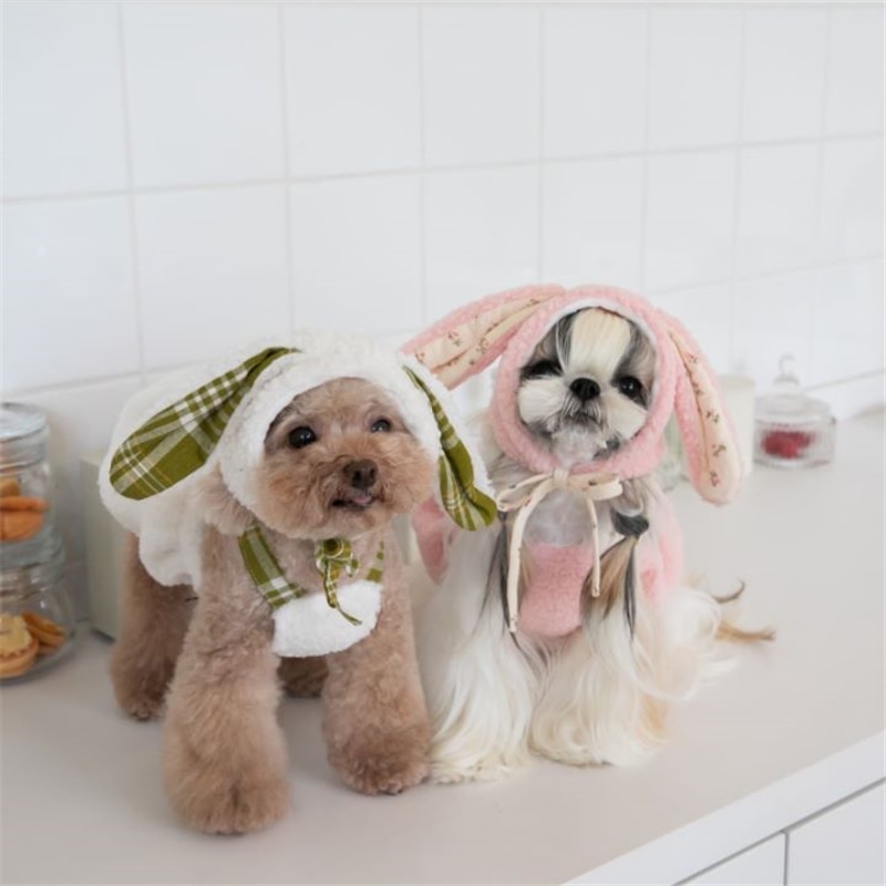Winter Clothes For Dogs - Cute Bunny Style