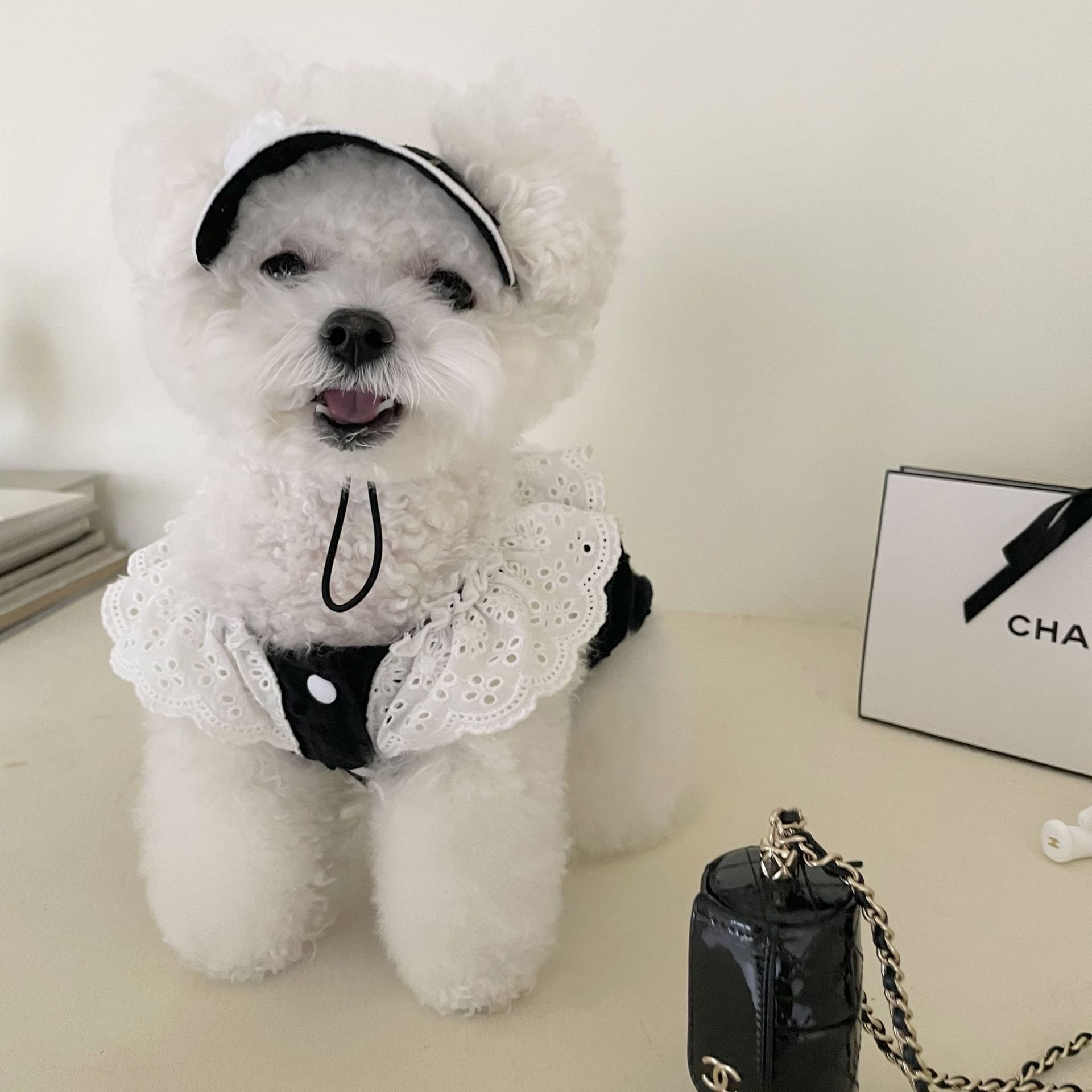 Cute Dress For Dogs With Black And White Color
