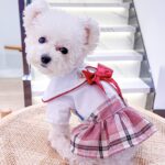 Plaid Dress With Beautiful Bow For Dogs