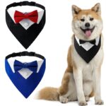 Bow Tie Collar - Party Accessories For Dogs
