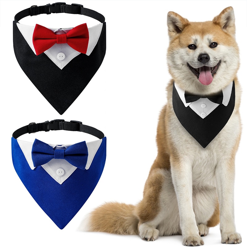 Bow Tie Collar - Party Accessories For Dogs