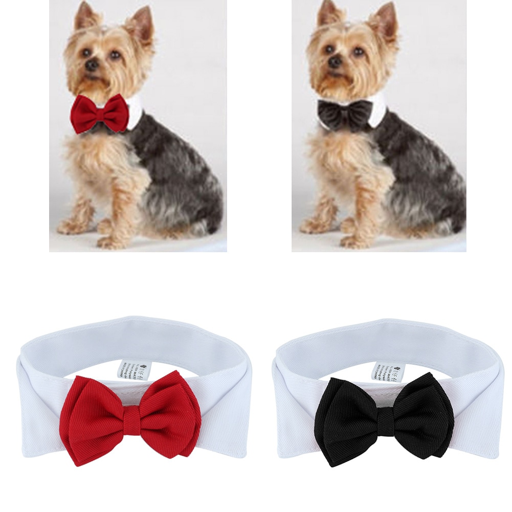 Wedding Accessories For Dogs - Bow Tie Collar