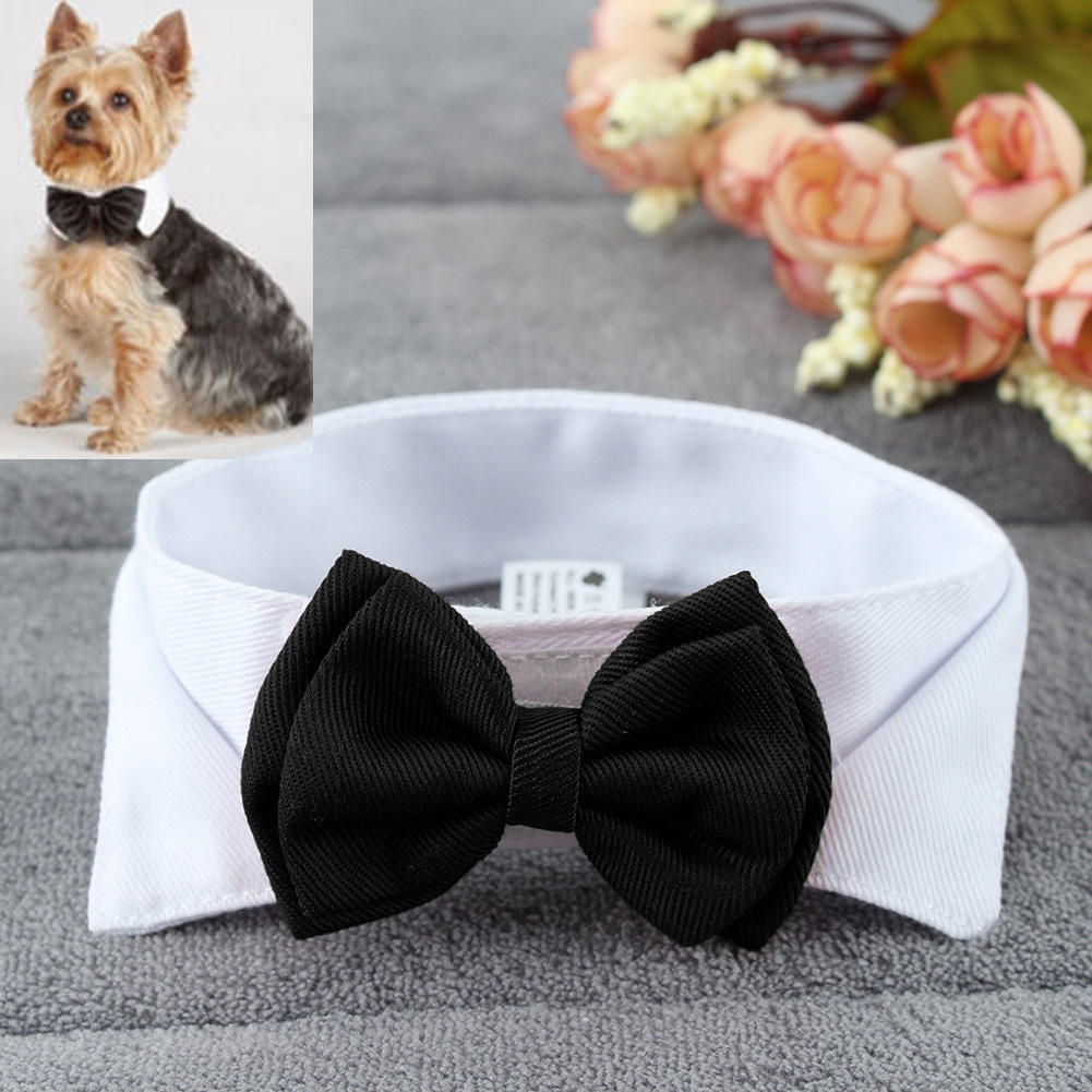 Wedding Accessories For Dogs – Bow Tie Collar