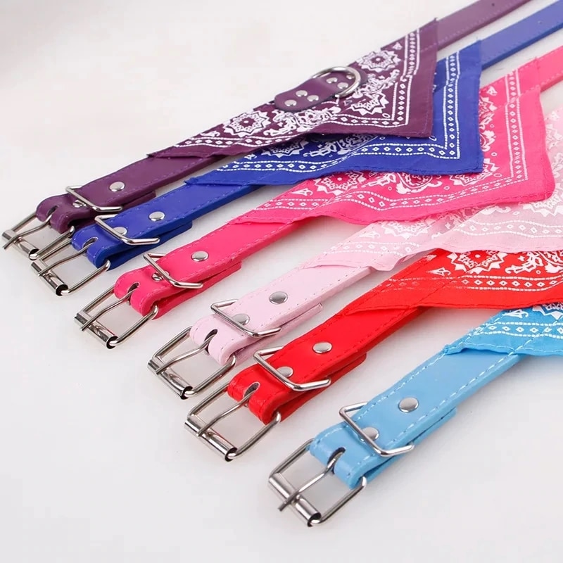 Collar For Dogs – Personality Triangle Bandana