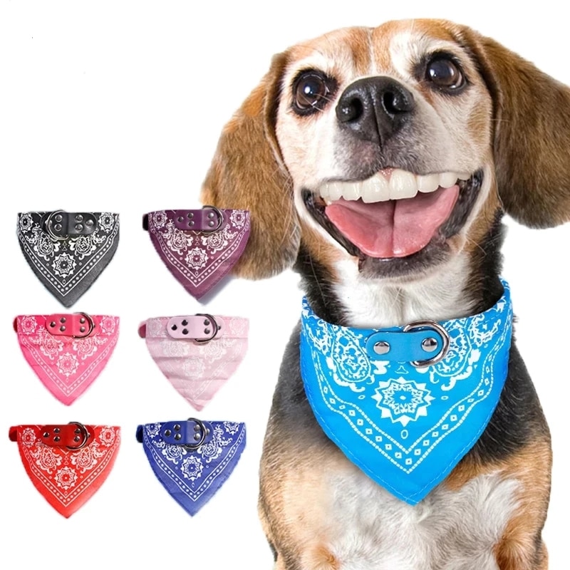Collar For Dogs – Personality Triangle Bandana